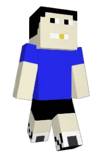 ProBlocker_1 Minecraft avatar full body