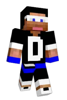 ProGamerNetwork Minecraft avatar full body