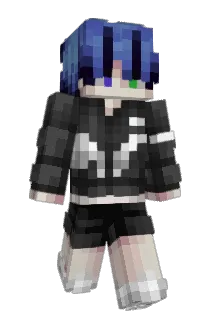 ProLAPTOP Minecraft avatar full body