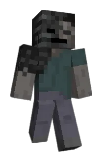 ProNinja21 Minecraft avatar full body