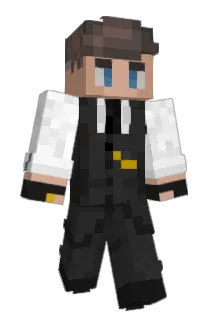 ProPanda2010 Minecraft avatar full body