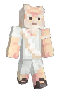 ProPena6666 Minecraft avatar full body