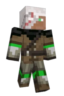 ProWoodwalker Minecraft avatar full body