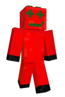 Pro_Tomate Minecraft avatar full body