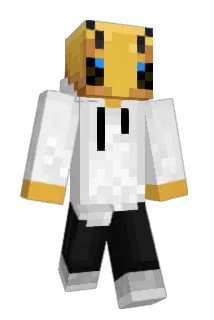 Proactic Minecraft avatar full body