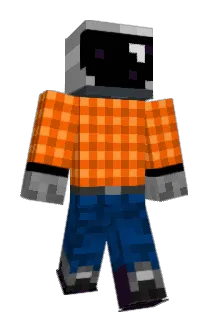 Proadi Minecraft avatar full body