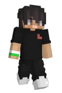 Proarte Minecraft avatar full body