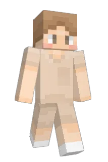 Prochic Minecraft avatar full body