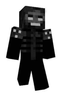 ProdigyTT Minecraft avatar full body