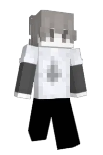Produce Minecraft avatar full body