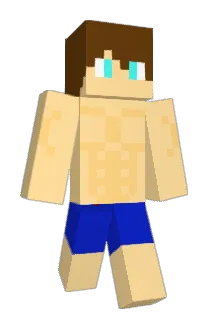 ProgramerGamer Minecraft avatar full body