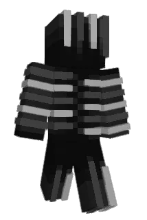 Programus07 Minecraft avatar full body