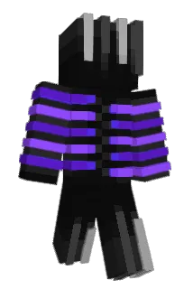 Programus12 Minecraft avatar full body