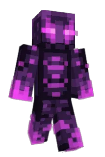 Prohunter6000 Minecraft avatar full body