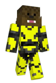 Project333 Minecraft avatar full body