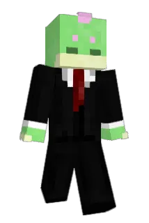 Project_Hozion Minecraft avatar full body