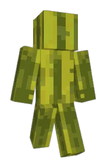 Prokofev Minecraft avatar full body