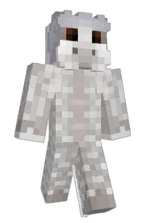 Pronti Minecraft avatar full body