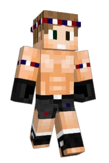 Propbi Minecraft avatar full body
