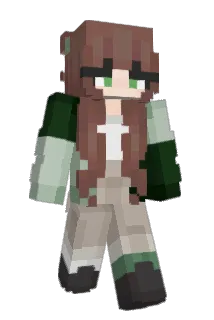 Proprotte Minecraft avatar full body