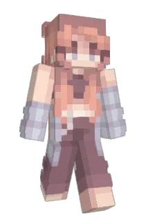 Protect_VPN Minecraft avatar full body