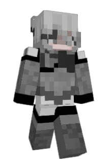 ProtoSect Minecraft avatar full body