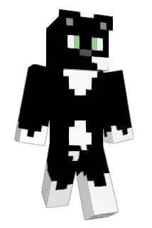 Protokohl Minecraft avatar full body