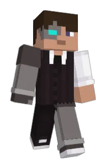 ProtonFix Minecraft avatar full body