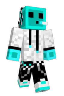 ProvenanceX Minecraft avatar full body