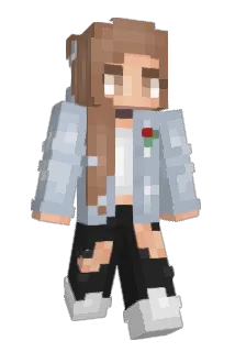 Provincial Minecraft avatar full body