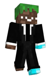 Prowdwing Minecraft avatar full body
