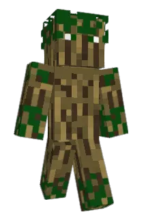 Proxion33 Minecraft avatar full body
