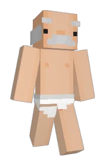 Prub_ Minecraft avatar full body