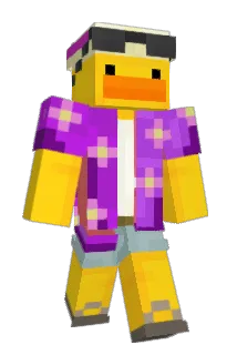 PsiHokk Minecraft avatar full body