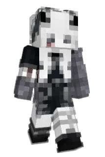 Psychiatris Minecraft avatar full body