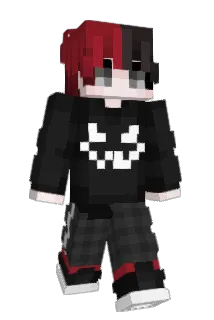 Ptaszor67 Minecraft avatar full body