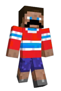 Ptitgros Minecraft avatar full body