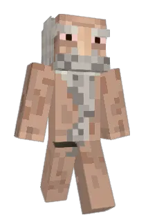 Puaro2 Minecraft avatar full body