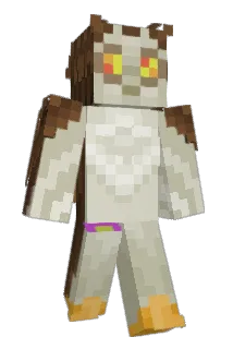 Puchaczow Minecraft avatar full body