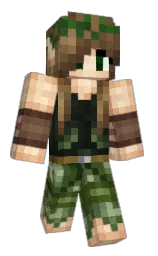Custom render preview