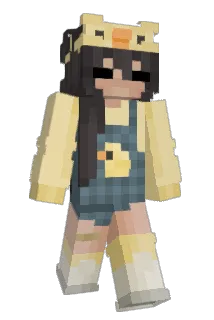 Pud1es Minecraft avatar full body