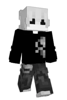 PudgyPanda Minecraft avatar full body