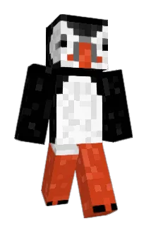 Puffinityy Minecraft avatar full body