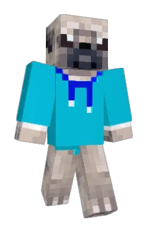 PugDudeM1 Minecraft avatar full body