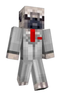 Pug_Mum Minecraft avatar full body