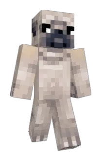 Pugik Minecraft avatar full body