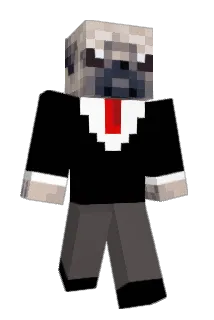 Puglitgaming Minecraft avatar full body