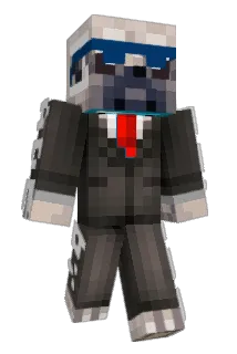 Pugman65 Minecraft avatar full body