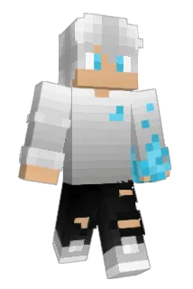 Puma1817 Minecraft avatar full body