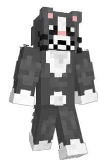 PumaConColor7 Minecraft avatar full body